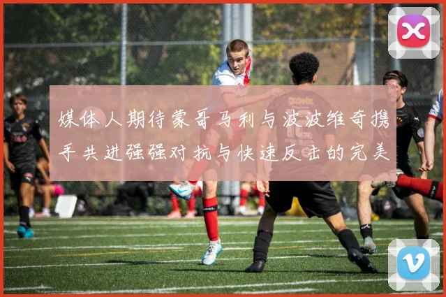 媒体人期待蒙哥马利与波波维奇携手共进强强对抗与快速反击的完美结合